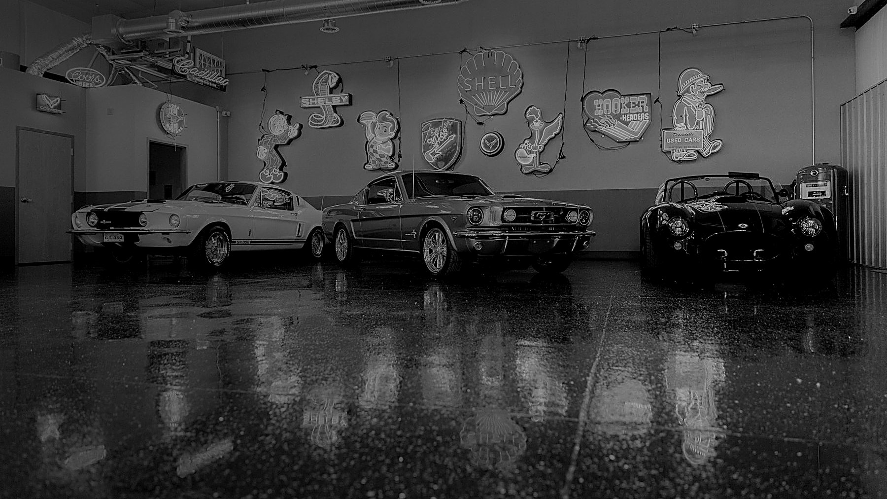Shelby, Mustang fastback, and Cobra in the showroom, black and white